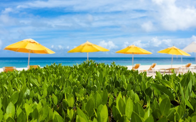 Desde refugio para famosos al vuelo más corto: 10 curiosidades sobre Anguilla