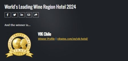 VIK Chile