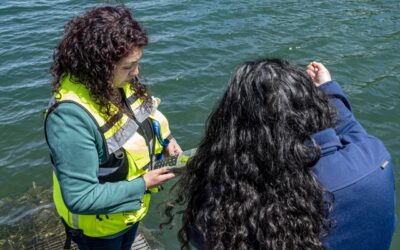 Innovadoras iniciativas para combatir la contaminación del Lago Villarrica