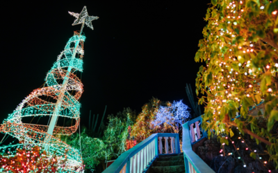 Navidad y Año Nuevo en Aruba para vivir las fiestas en el corazón del Caribe