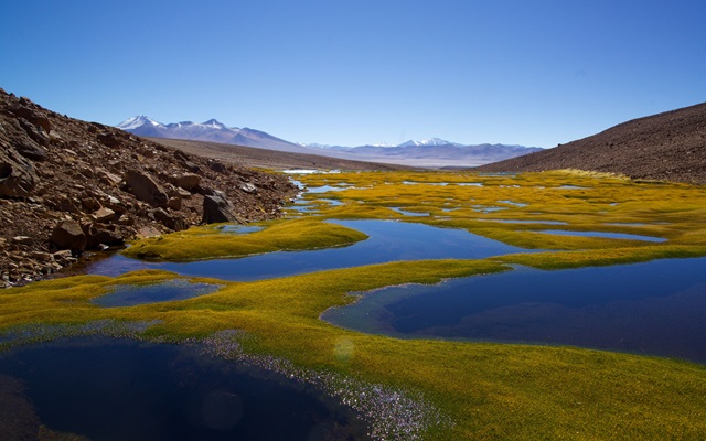 Destinos chilenos premiados por gestión sostenible en cita de Green Destinations