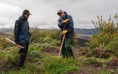 Las Torres Patagonia levantará dos puentes en nuevo sendero a Base Torres