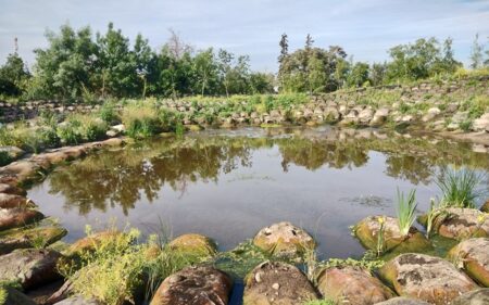 Espejo Cosmobotánico