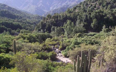 Parque Nacional Río Clarillo