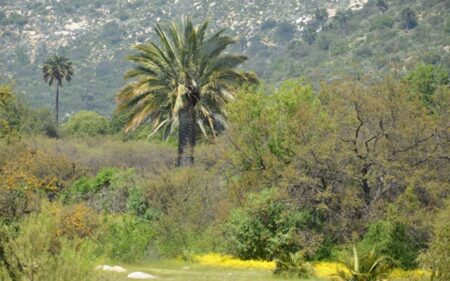 Parque Nacional La Campana