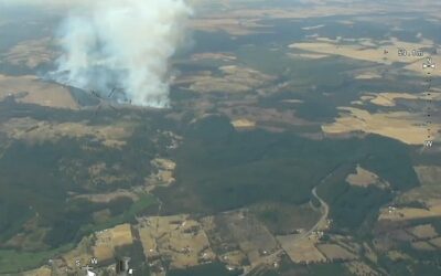 CONAF refuerza recursos terrestres y aéreos en lucha contra incendios forestales