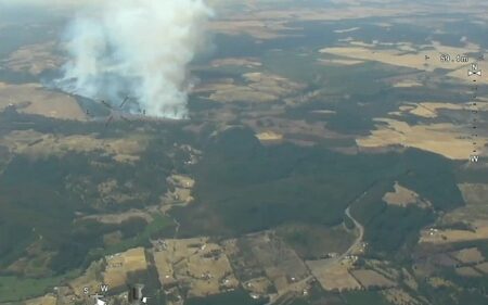 Incendio forestal El Valle 2