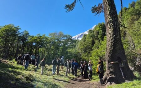 Parque Nacional Villarrica